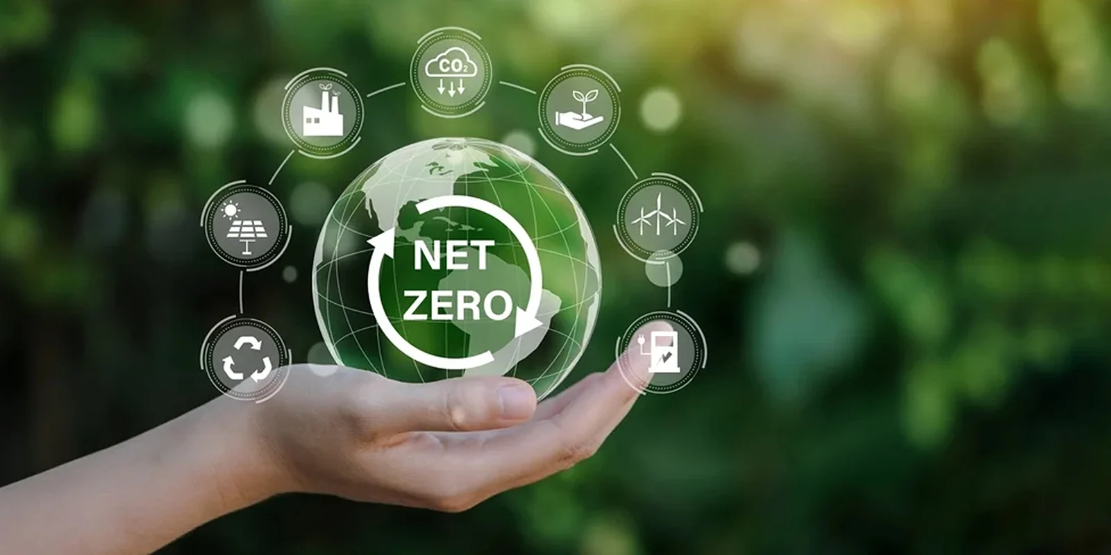 Role of Renewable Energy in Achieving Net Zero Emissions